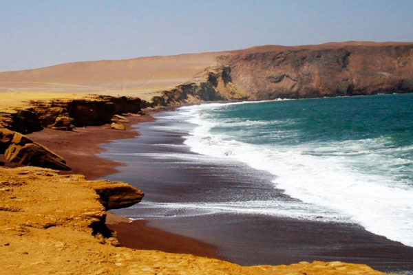 Tour Reserva Nacional de Paracas