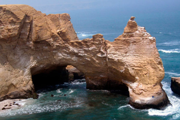 Tour Islas Ballestas- Paracas