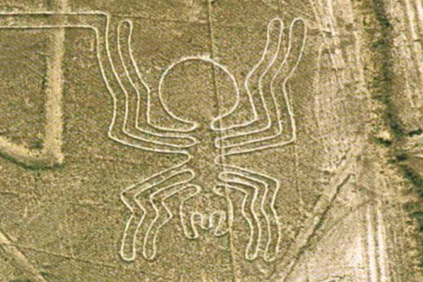 Sobrevuelo Líneas De Nazca y Tour Arqueológico